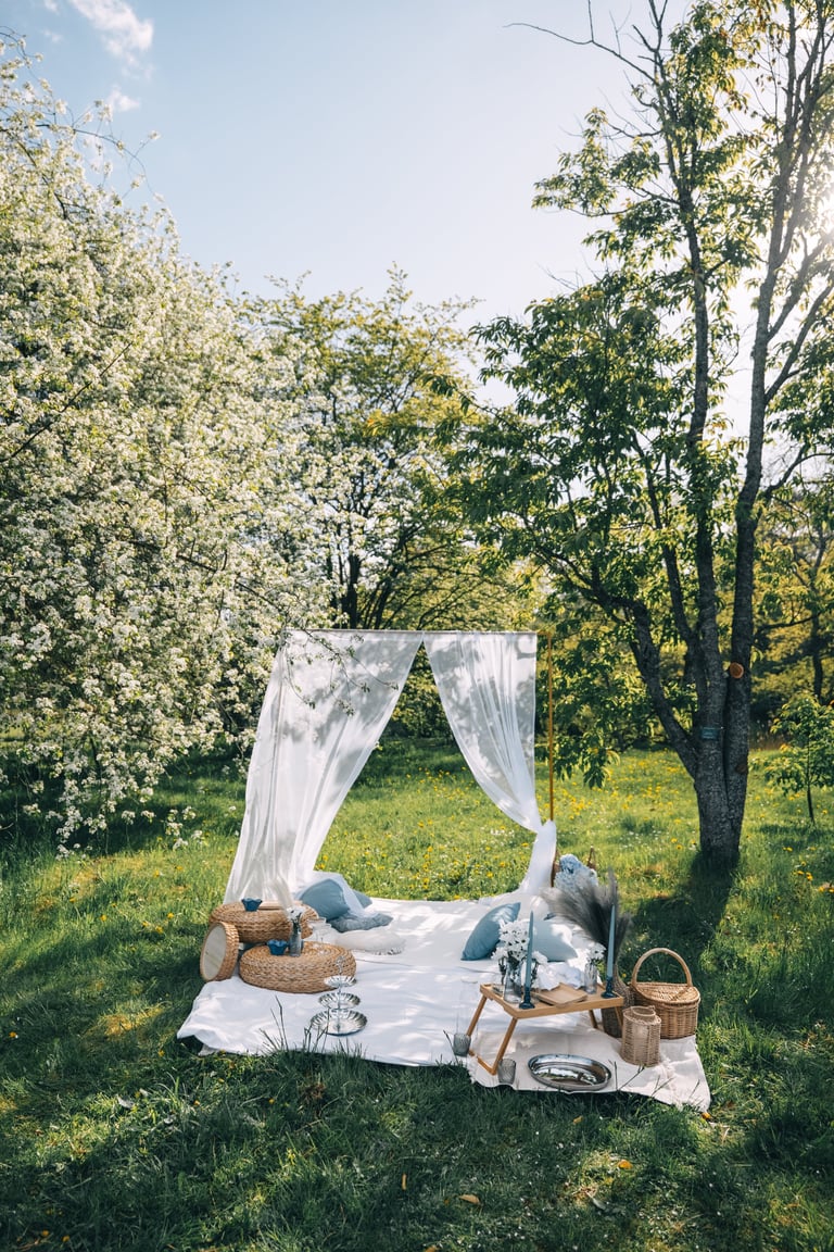Soft pastel picnic setup with pillows and basket under blooming trees