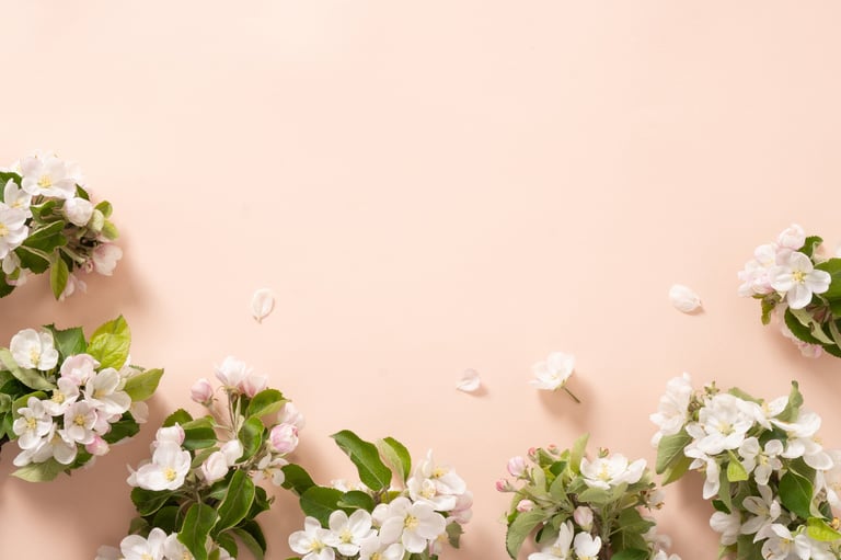 Spring apple tree blossom branches on pastel background