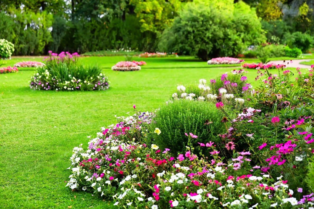 Landscaped garden with vibrant flower beds, ornamental shrubs and a lush green lawn