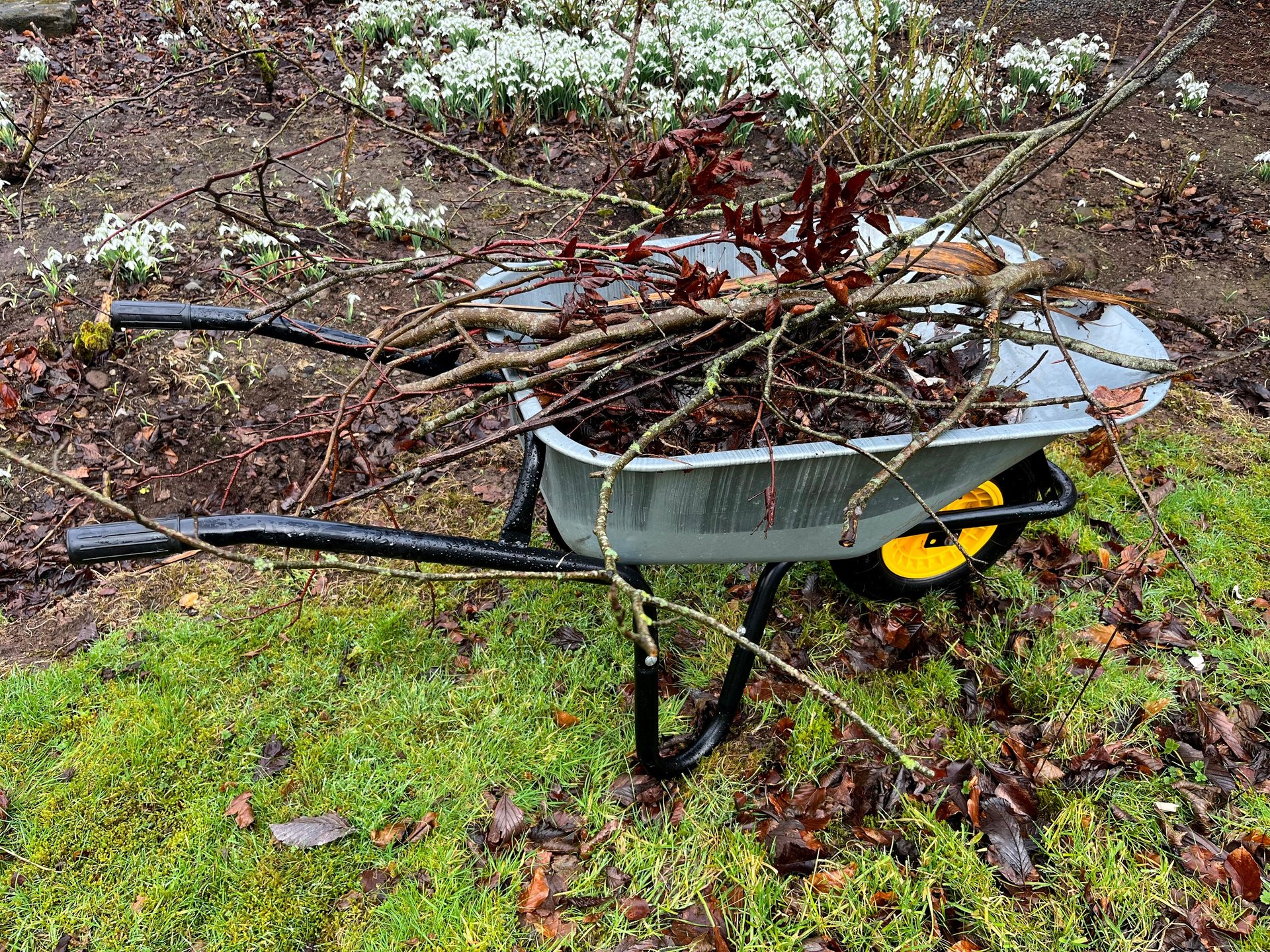 Yard debris and brush removal service in Windham County CT