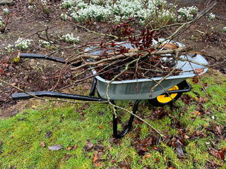 Yard Waste Removal