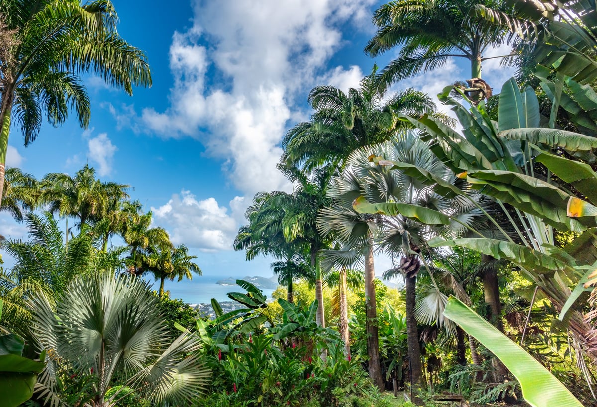 St. Lucia, Windward Islands — tropical highlands