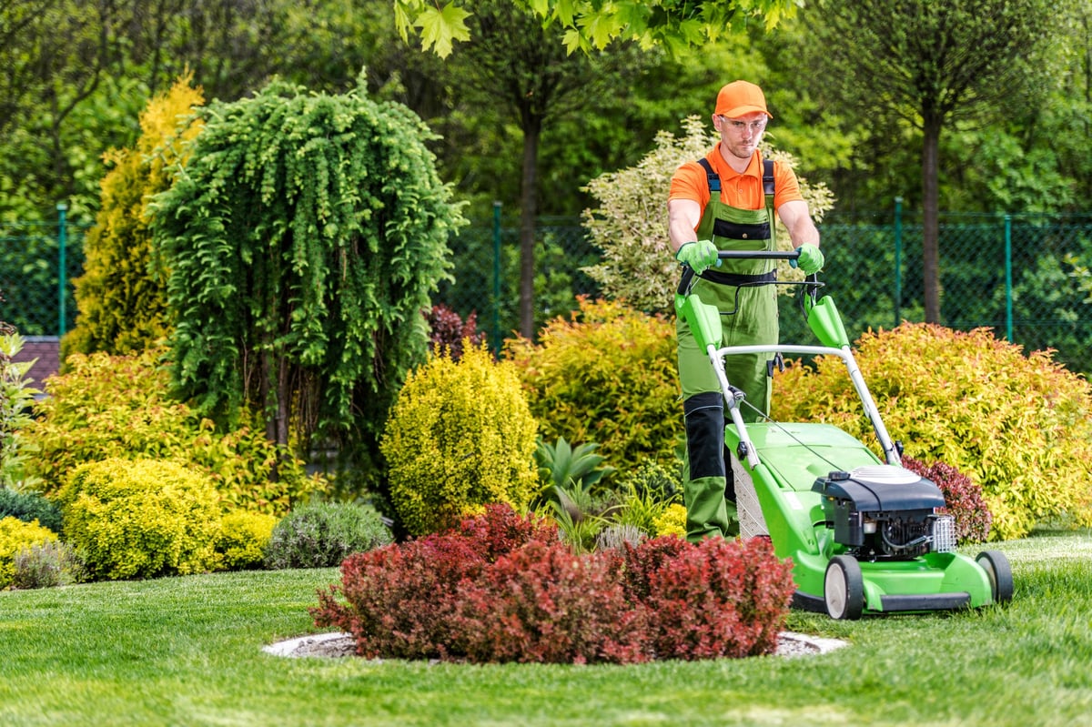 Thriving garden with perennials and ornamental shrubs suited for Ottawa's zone 5 climate