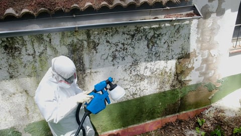 Professional mold remediation with protective equipment