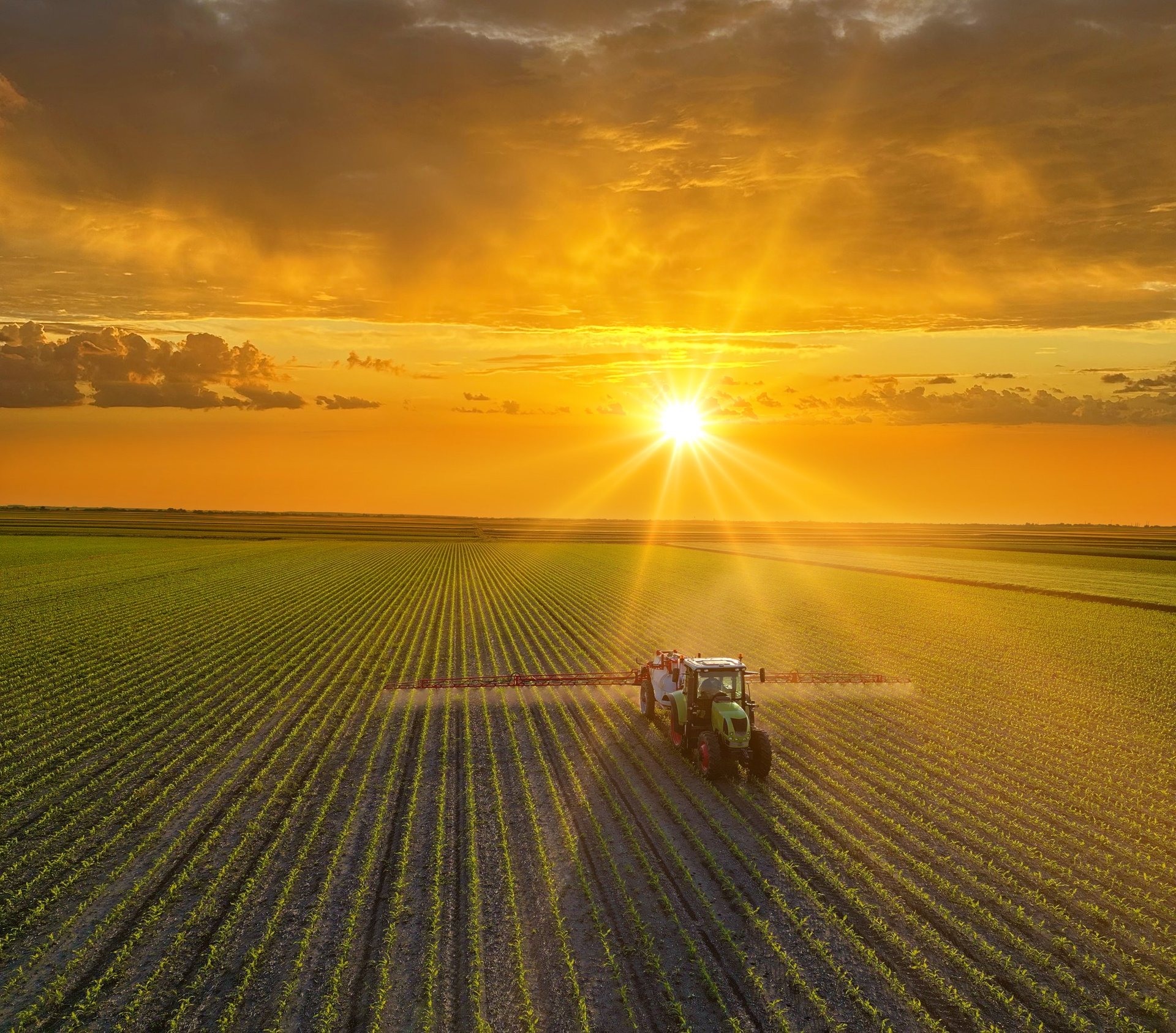 Tractor trabajando en campo agrícola al atardecer