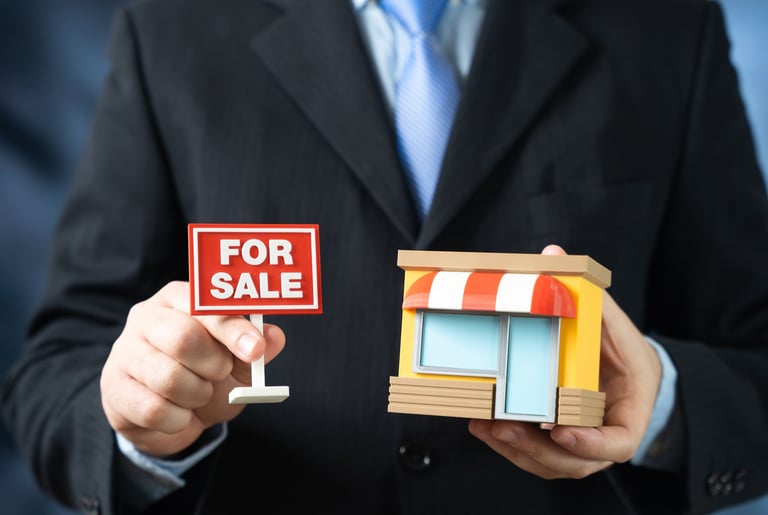 Business asset review and evaluation
