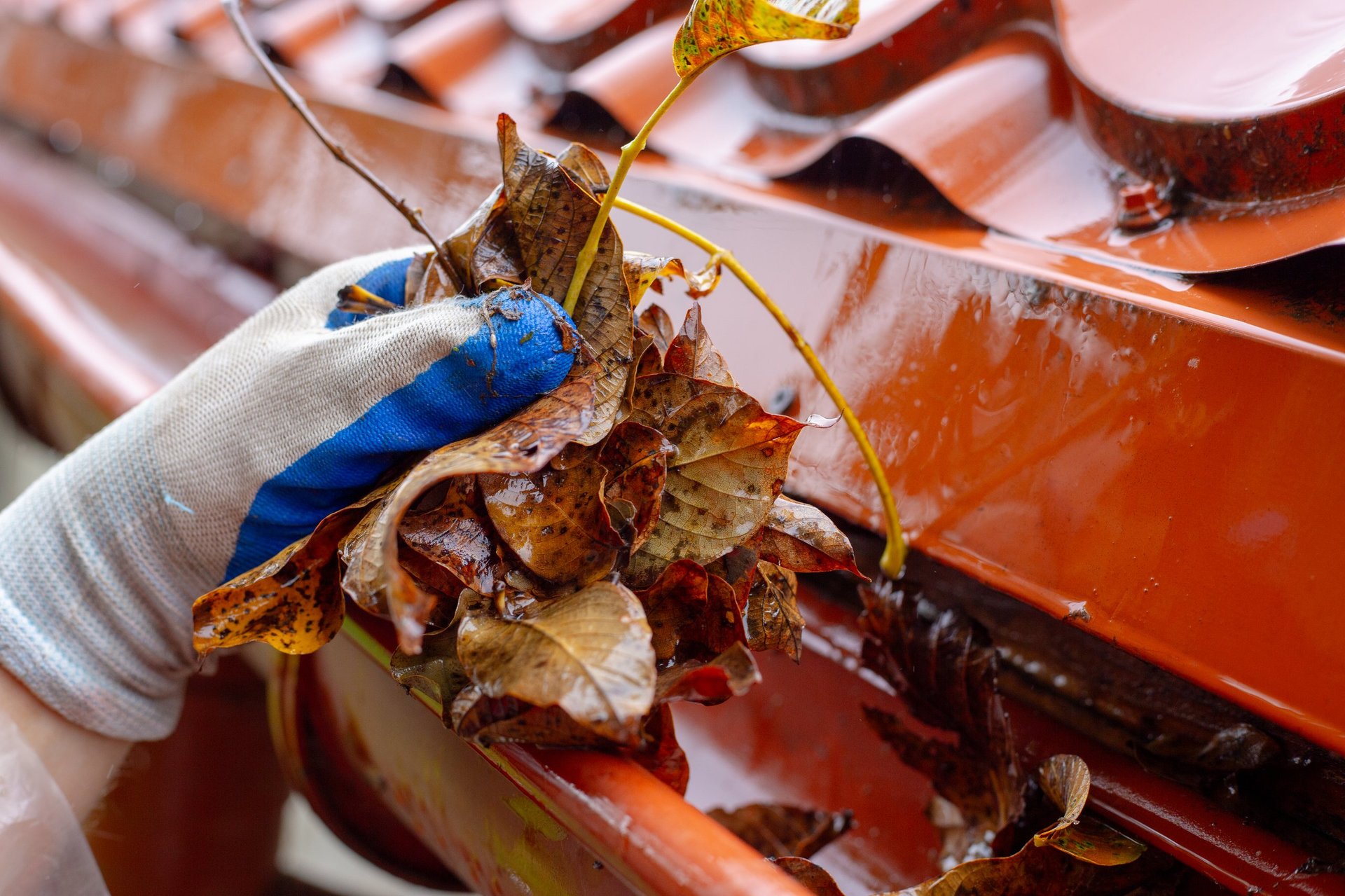 Professional gutter cleaning — removing debris by hand