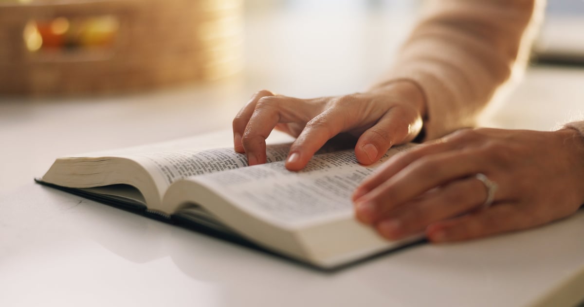 Hands reading Bible together in faith and study