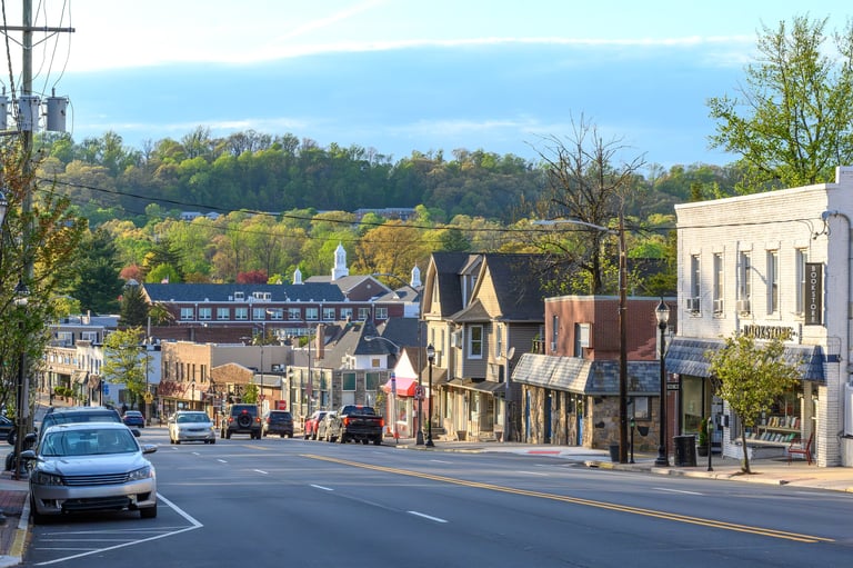 Zionsville community