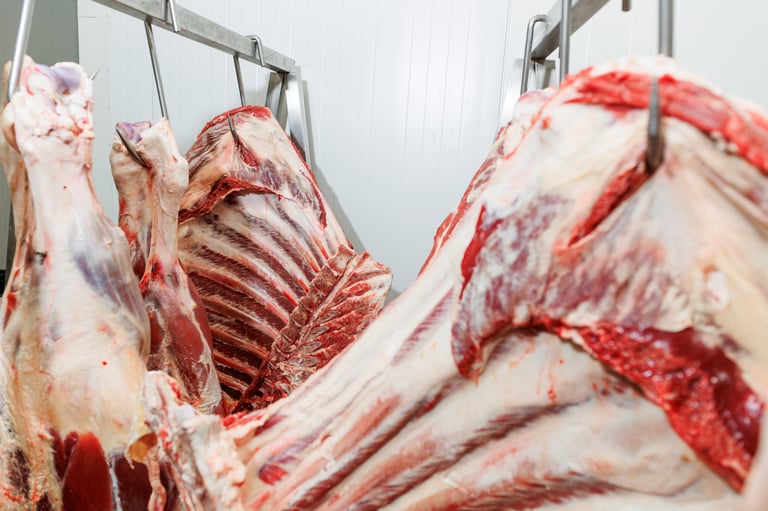 Premium grass-fed South African meat in cold storage