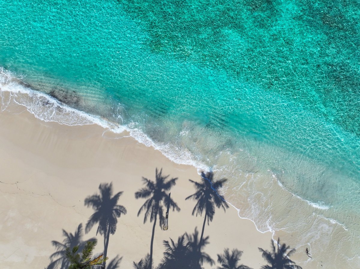 US Virgin Islands — turquoise water and palm shadows