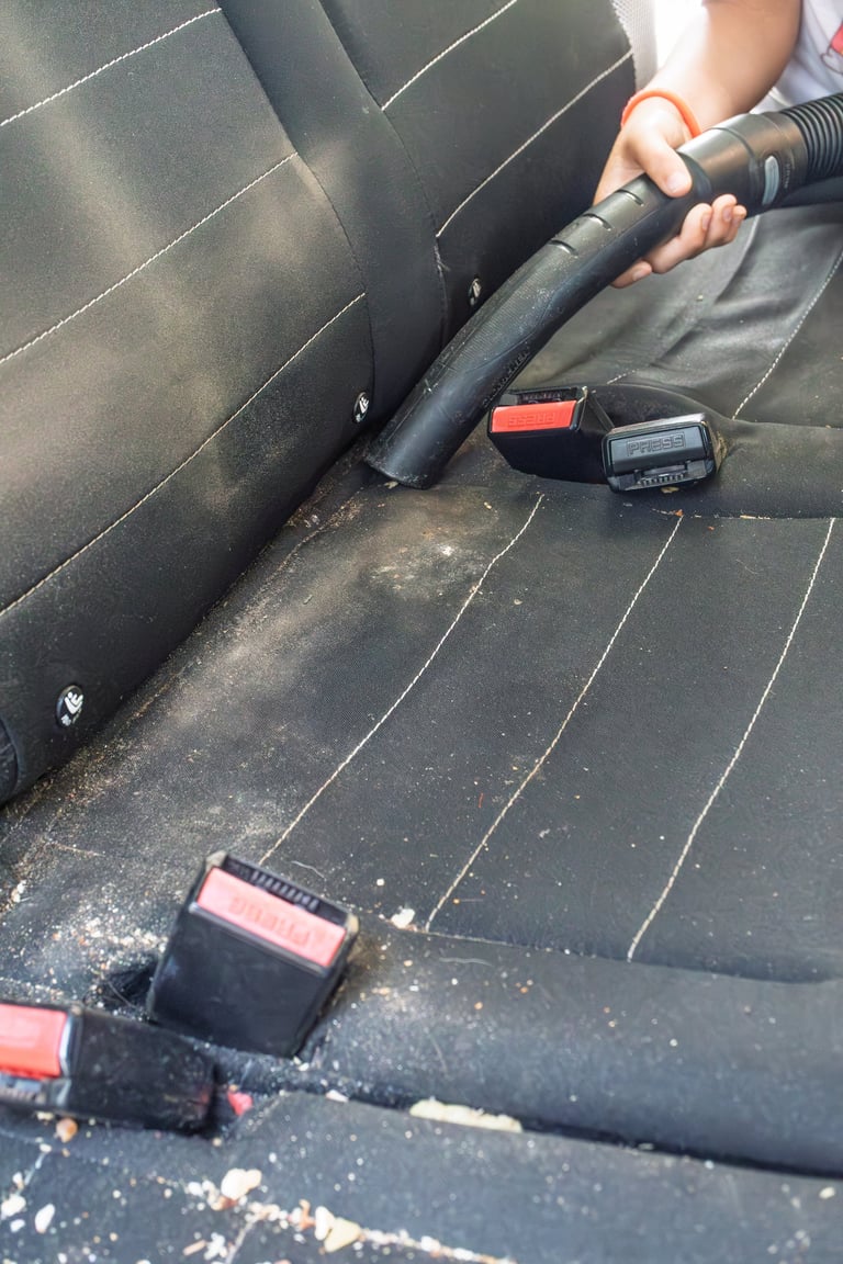 Interior Detail & Dry