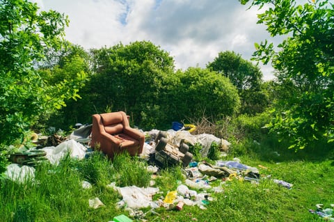 Trash scattered in a natural area