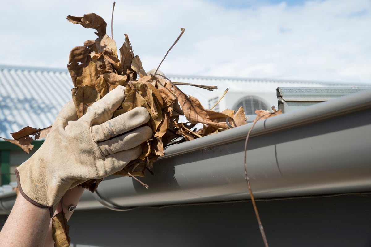 Person cleaning leaves from gutter during autumn