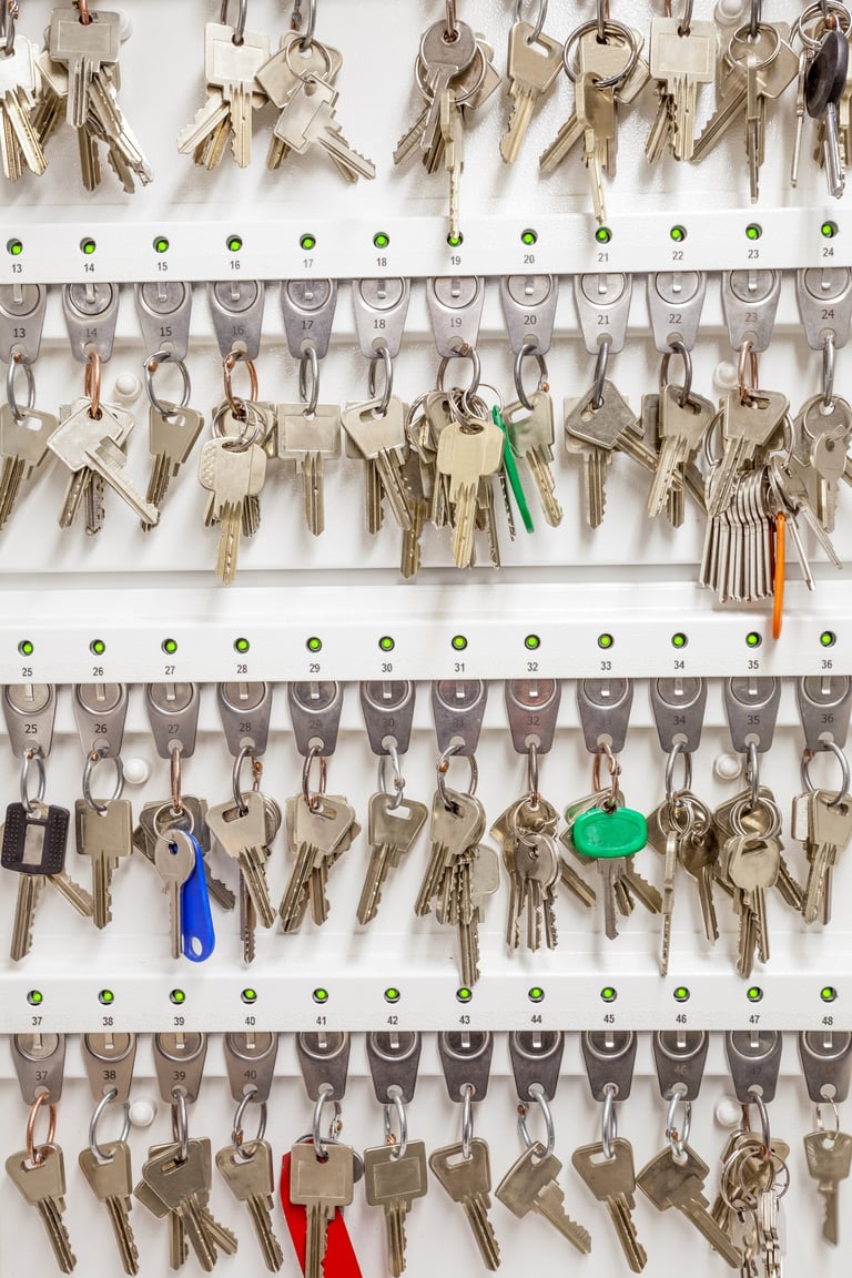 Electronic key cabinet with organized keys
