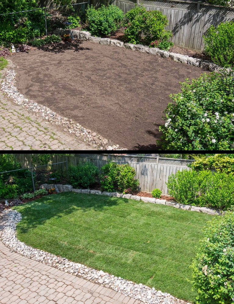 Before and after laying new sod in a backyard garden