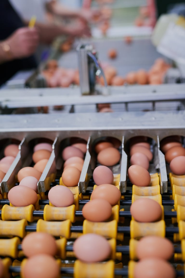 Food Manufacturing