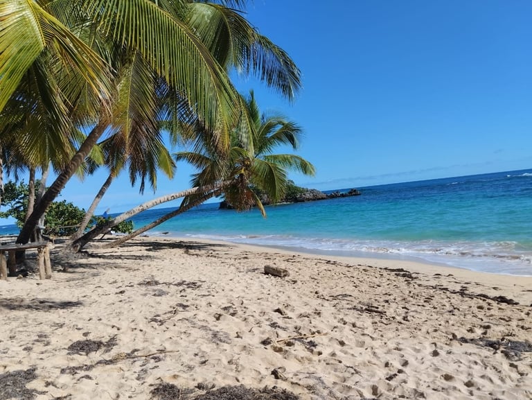 Parque Nacional Los Haitises + Cayo Levantado