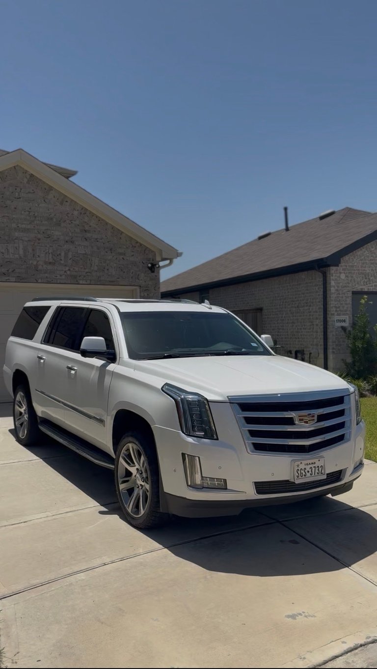 White Cadillac Escalade SUV with bright glossy paint parked in a driveway in front of brick houses — KJAJ Details finished detail