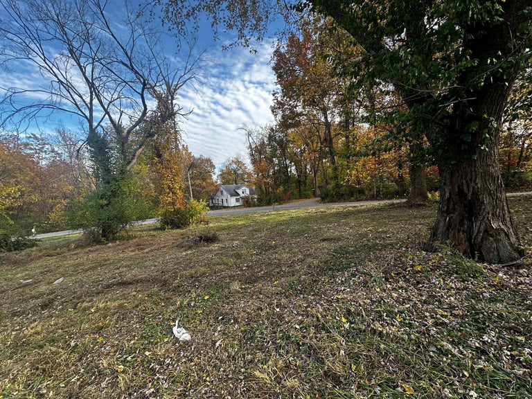 Autumn landscape with large trees, falling leaves covering the ground, a distant house, and blue sky with clouds