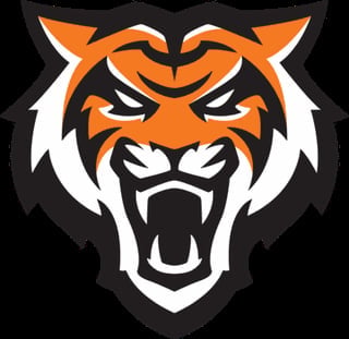 Fierce tiger head logo with orange and white striped face, displaying an aggressive expression with bared teeth