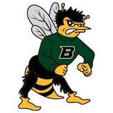 Cartoon bee mascot character wearing green jersey with B logo, with wings, angry expression, yellow and black color scheme