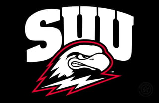 SIU Salukis logo featuring a stylized eagle head in red and white with lightning bolts on black background