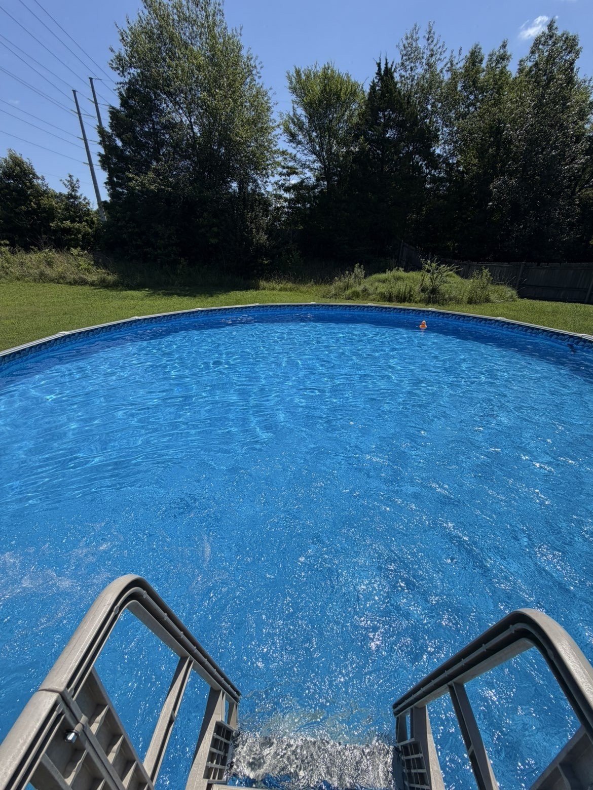 Above-ground swimming pool with blue water in a backyard surrounded by green grass and trees on a sunny day