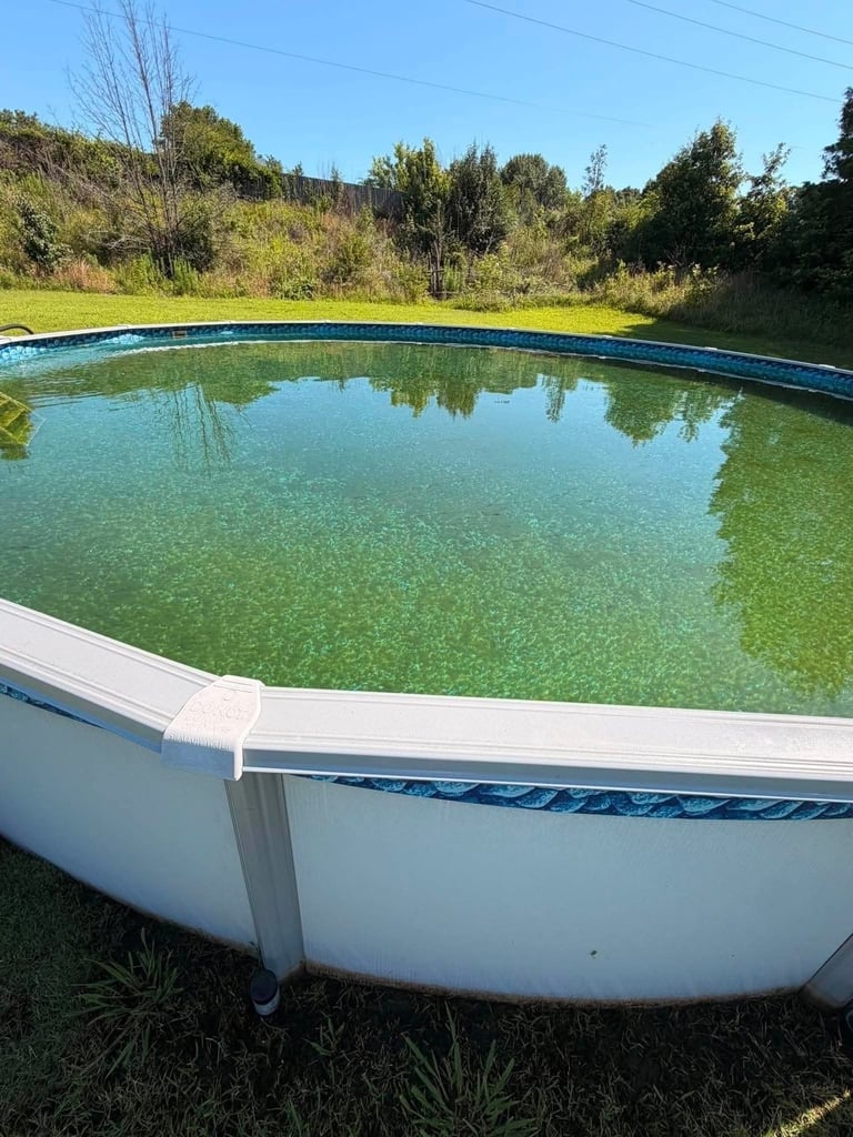 Above-ground swimming pool with cloudy green water and white walls in a grassy backyard surrounded by trees