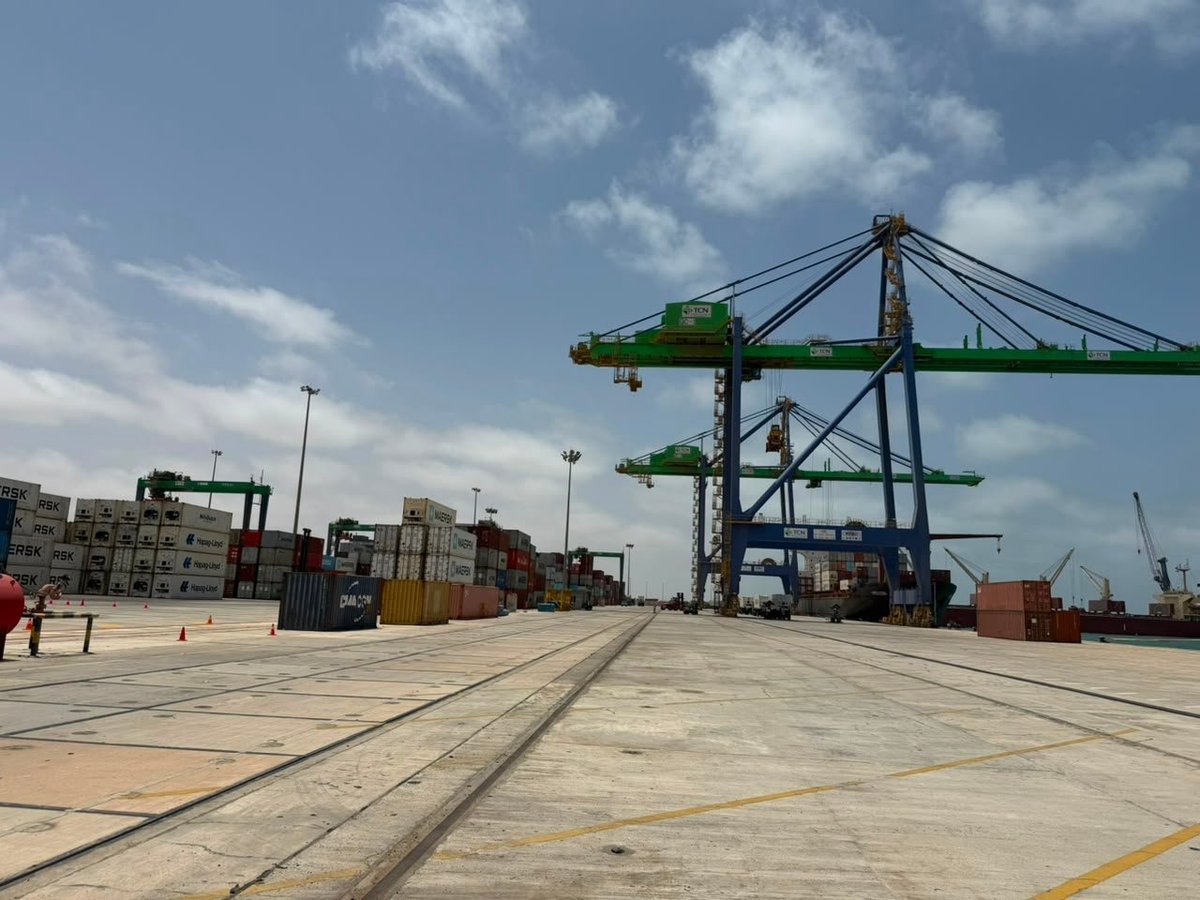 Cargo containers stacked at a port facility with large green gantry cranes under clear sky