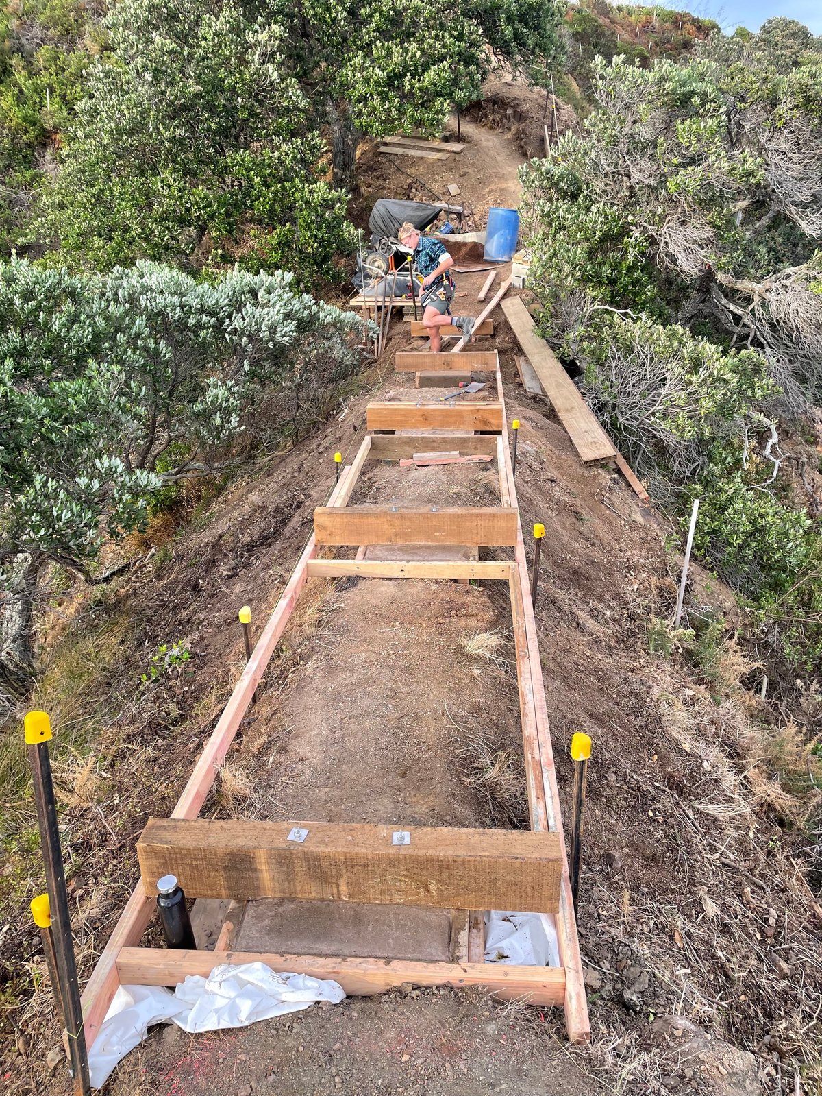 Construction framing for a raised outdoor walkway on Waiheke Island, with a builder working along the timber substructure