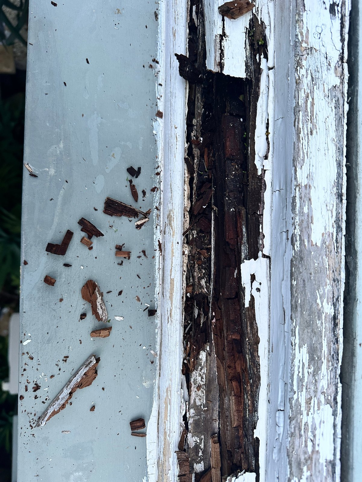 Deteriorated timber joinery frame with rot through the timber and peeling white paint before replacement