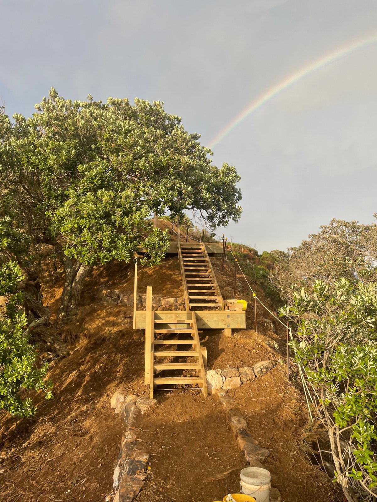 Wooden staircase climbing a steep dirt hillside with a large pōhutukawa tree at the top and a rainbow in the sky