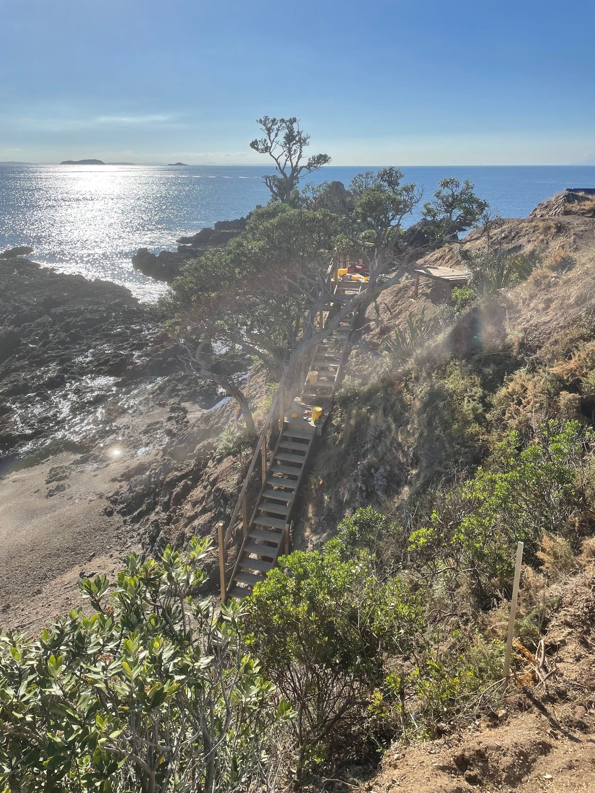 A long timber stair flight in build state descending a rocky coastal cliff on Waiheke Island toward the beach and sea, with a pōhutukawa tree and a builder visible on the structure