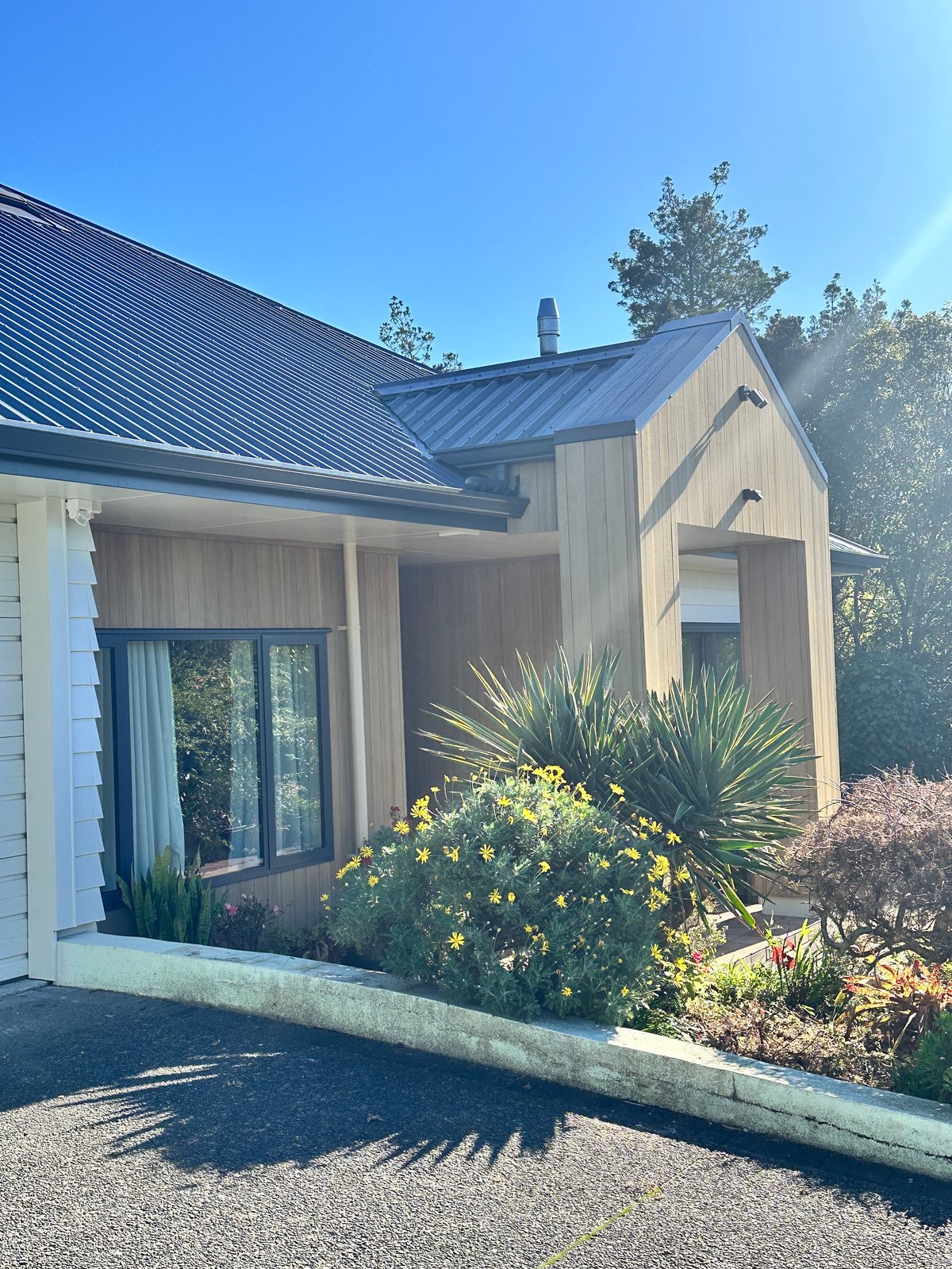 Modern farmhouse with metal roof and stone foundation, featuring yellow flowering plants and palm-like shrubs in the front landscape under clear blue sky