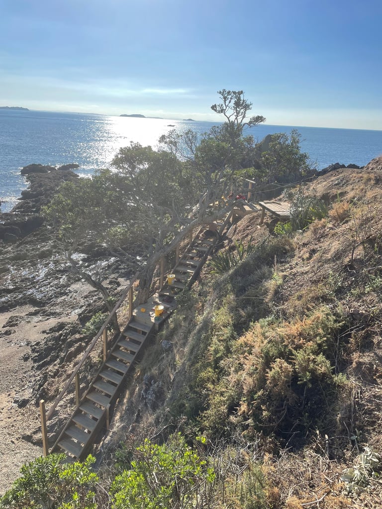 Long timber boardwalk with a steel handrail descending a rocky coastal cliff toward the sea