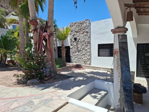 Patio de casa moderna blanca y piedra con palmeras, jardinería desértica y zona soleada