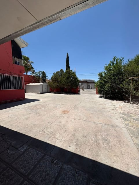 Patio exterior con piso de concreto y cipreses