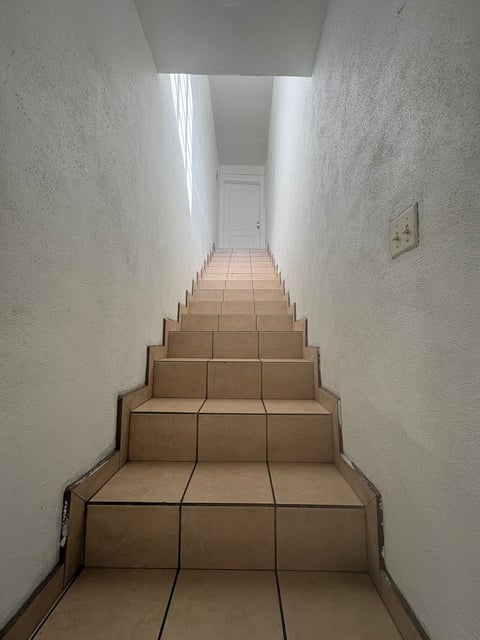 Escalera interior larga con escalones de loseta y muros blancos