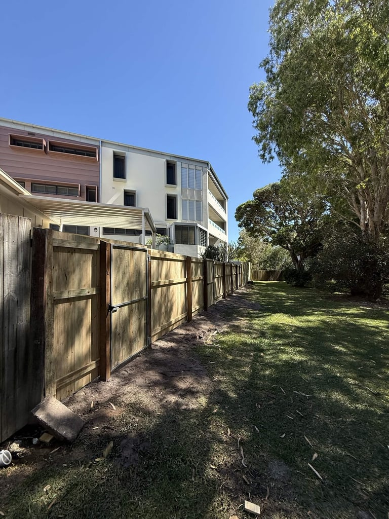 Modern residential building with wooden fence and large tree in sunny backyard setting