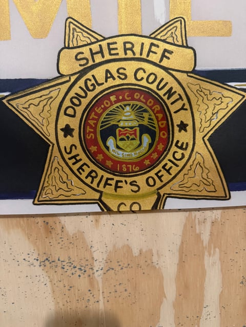 Douglas County Sheriffs Office gold star badge with official seal and blue stripe