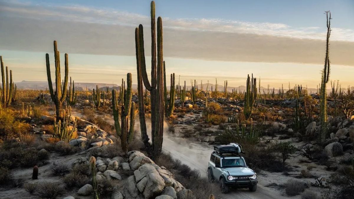 Paisaje desértico con cardones gigantes en Cataviña, Baja California
