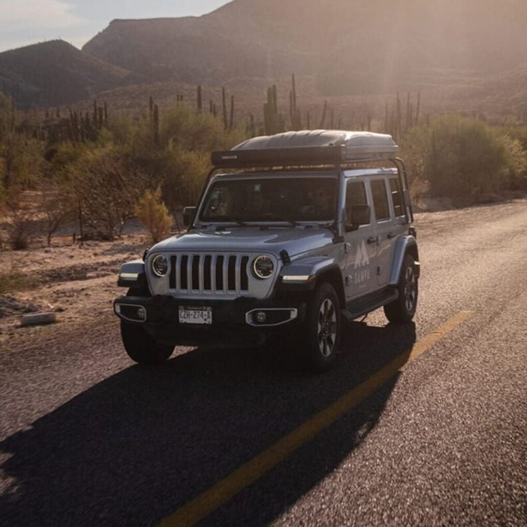 White Jeep Wrangler on desert road with saguaro cacti and mountains in misty background