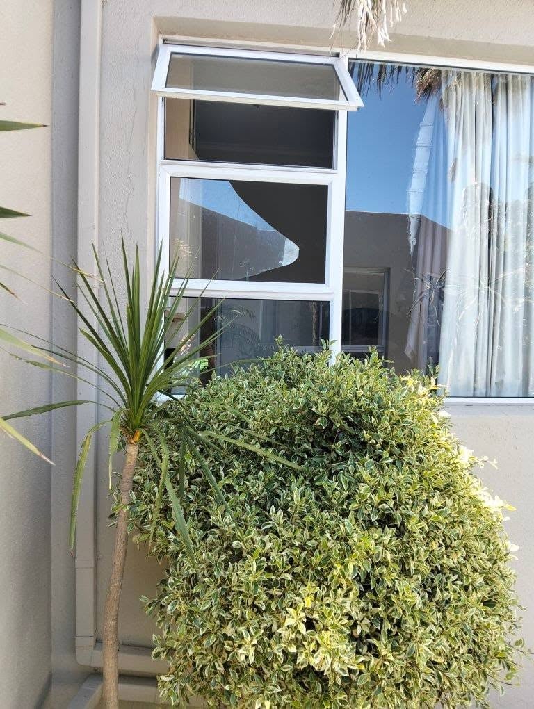 Broken residential window and glass door on a white Bellville home, the damaged pane visible in the white frame with the green potted plants in front and a ladder and tools alongside during the mobile glass repair.