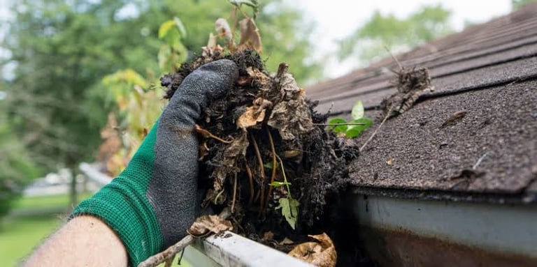 Hand in green glove holding clump of debris and leaves from rain gutter with roof in background