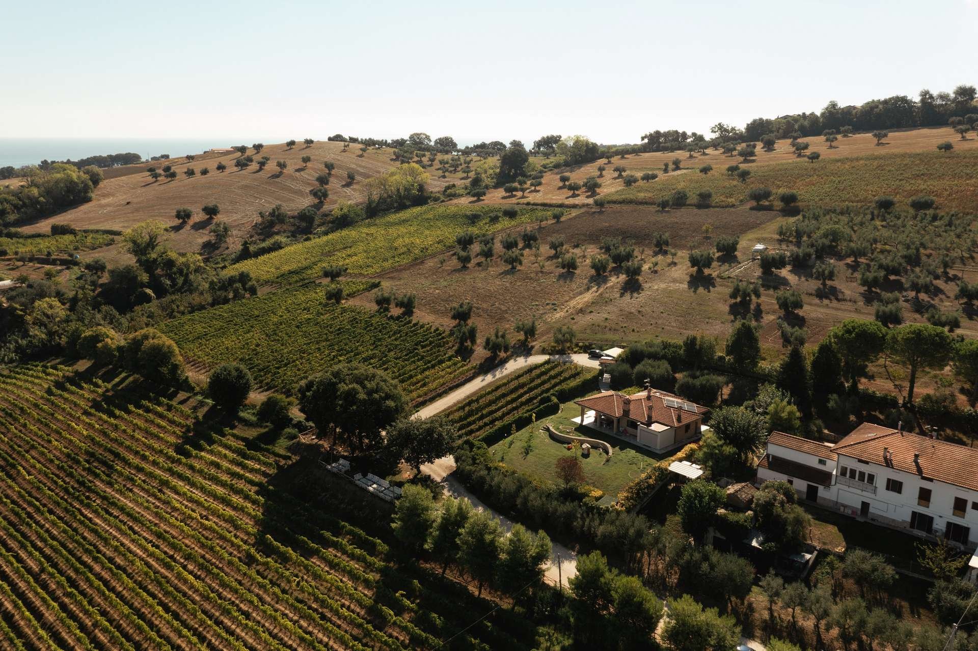 Aerial view of a Tuscan villa surrounded by rolling hills with vineyards and scattered cypress trees