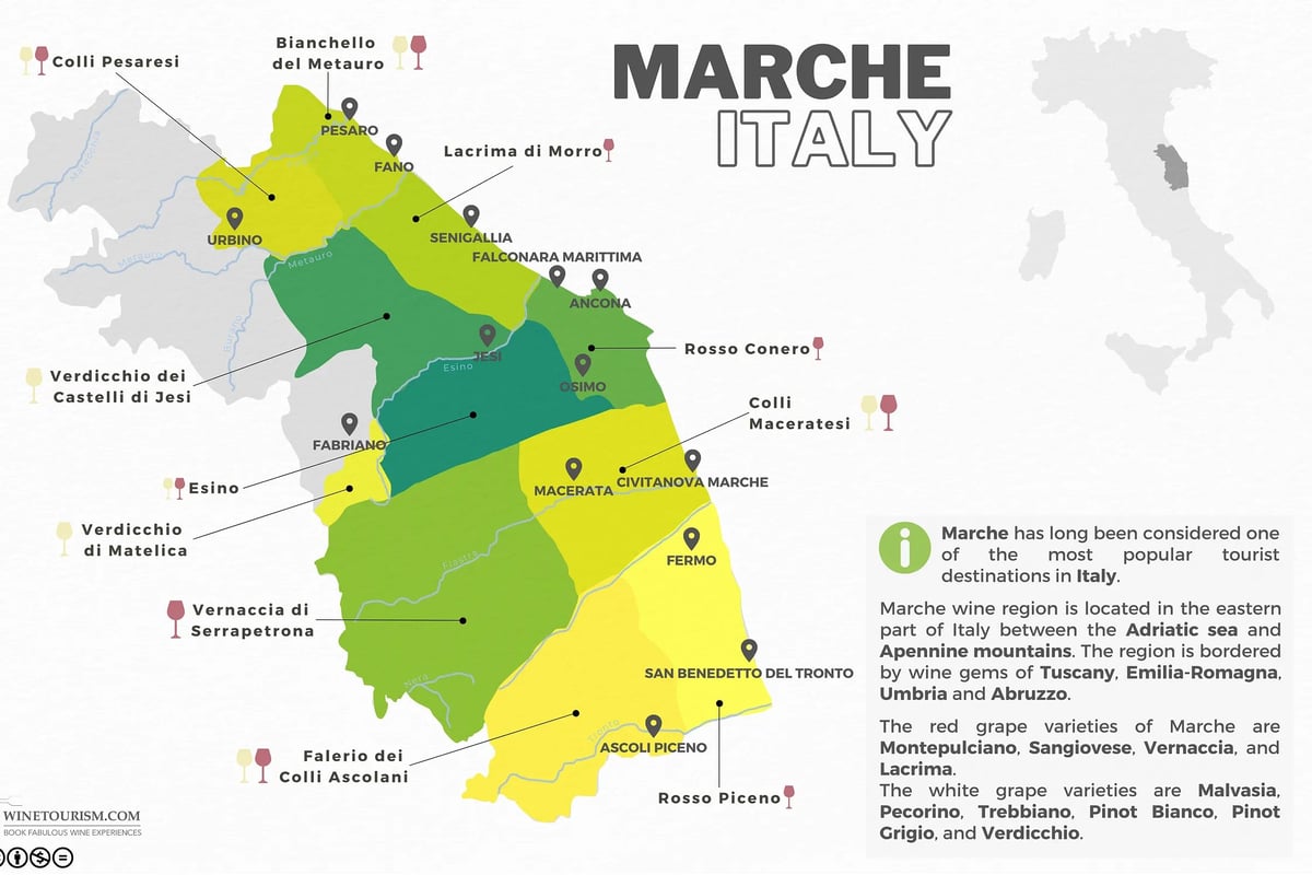 Marche wine region map of Italy