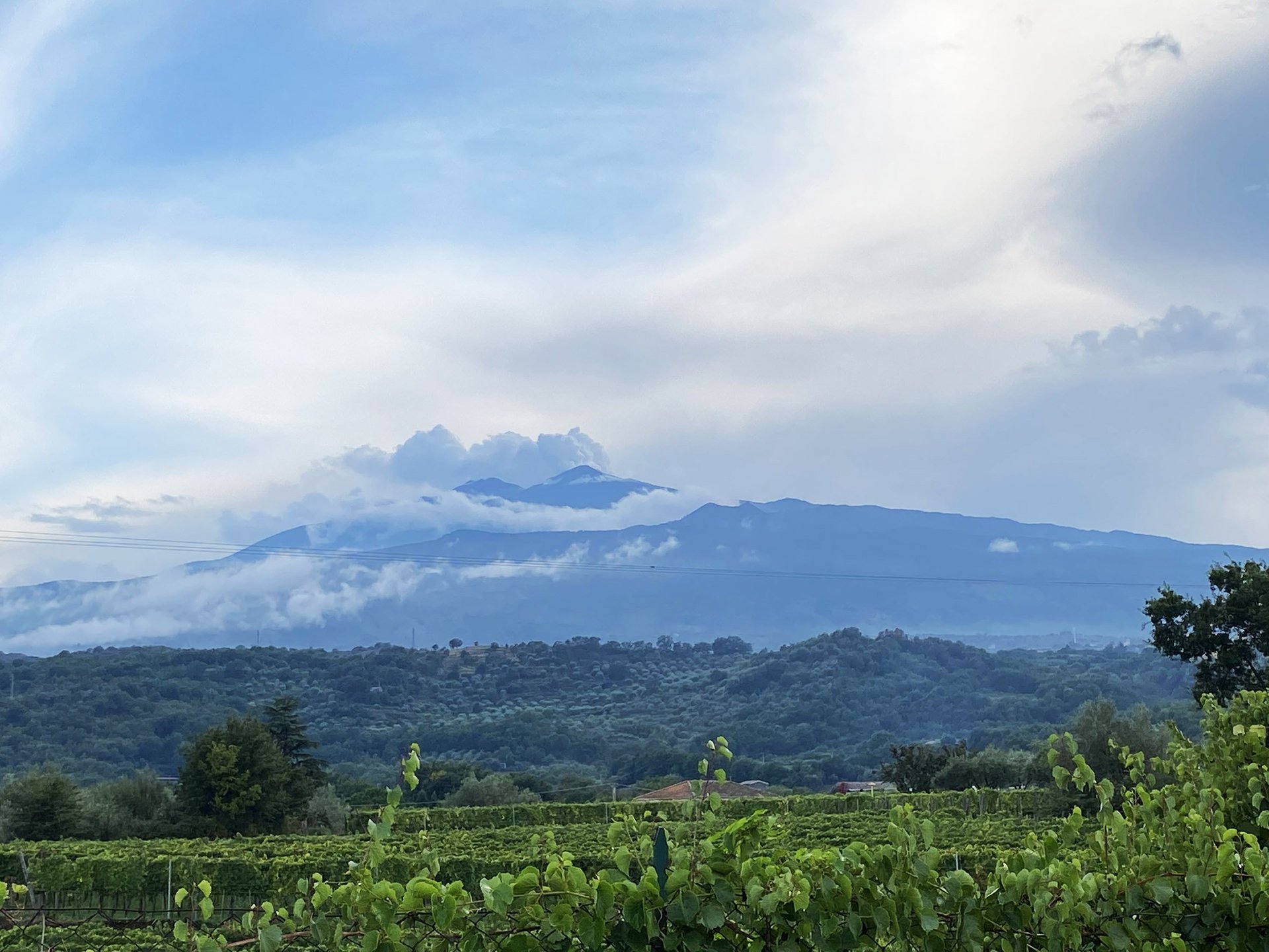 Mount Etna snow-capped peak rising above the green vineyard landscape under a blue cloudy sky