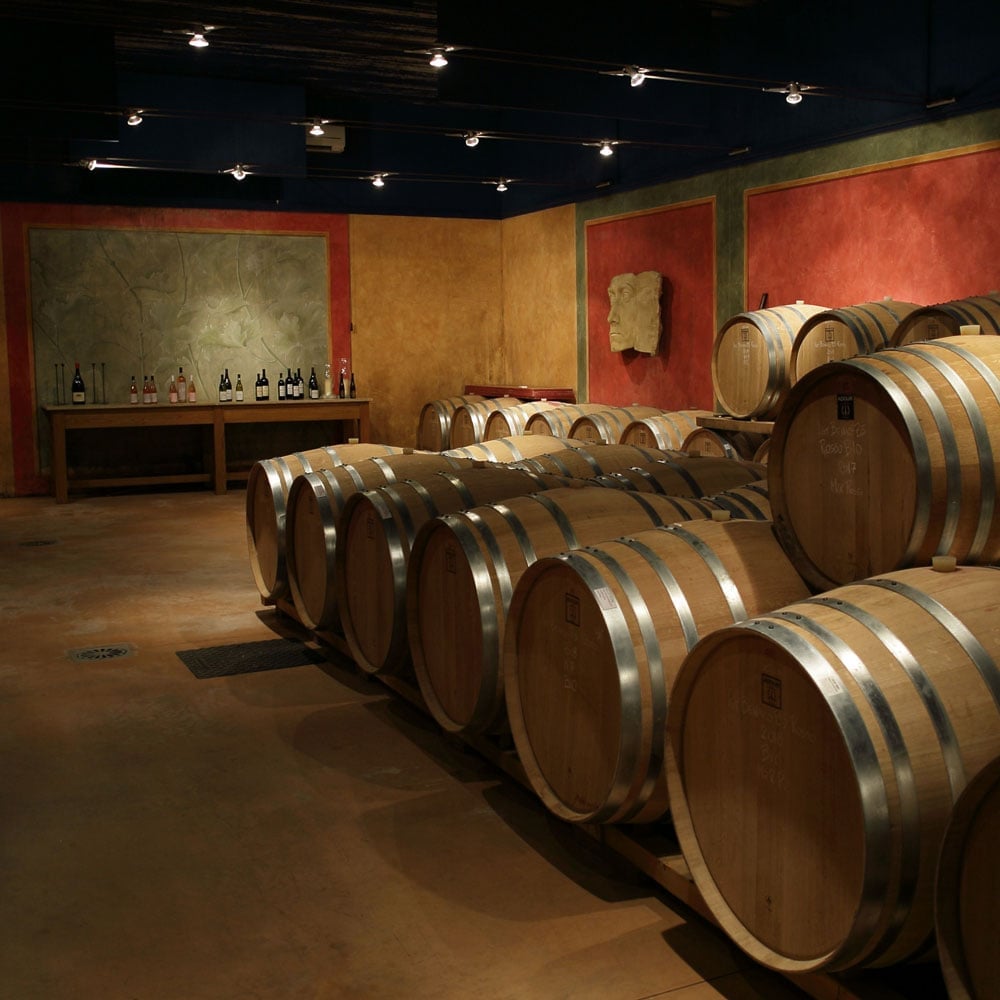 Wine cellar with wooden barrels arranged in rows on concrete floor, tasting bar with bottles visible in warm-lit background