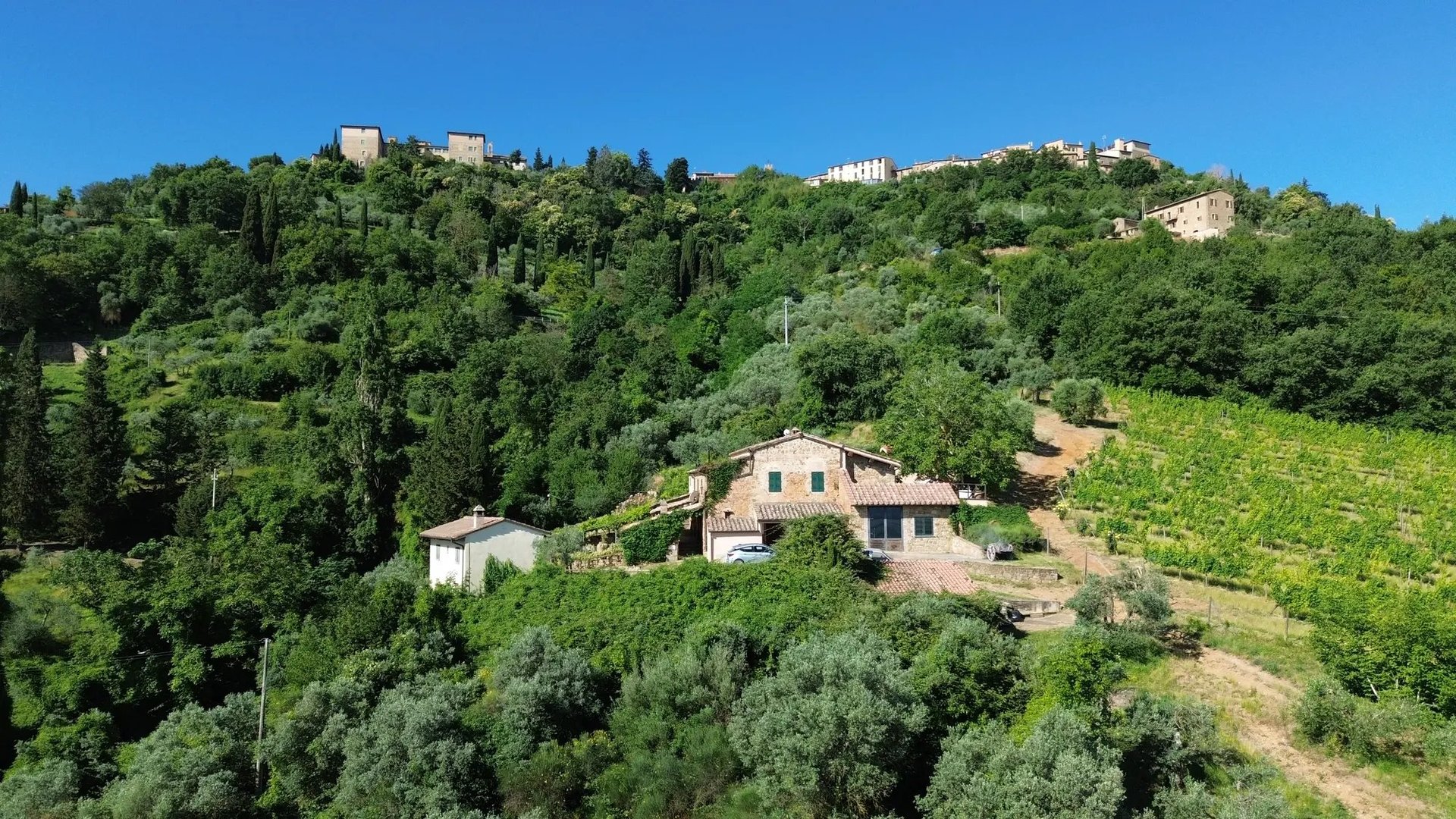 Italian hillside villa surrounded by cypress trees and green vineyards with historic buildings visible on the hilltop above